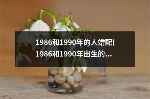 1986和1990年的人婚配(1986和1990年出生的人如何婚配？)