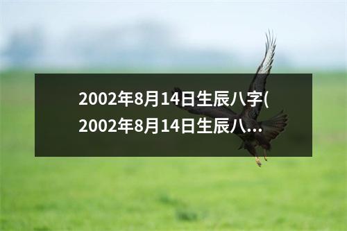 2002年8月14日生辰八字(2002年8月14日生辰八字)