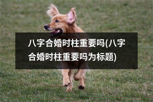 八字合婚时柱重要吗(八字合婚时柱重要吗为标题)