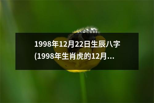 1998年12月22日生辰八字(1998年生肖虎的12月22日出生八字详情)