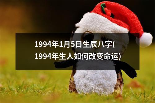 1994年1月5日生辰八字(1994年生人如何改变命运)