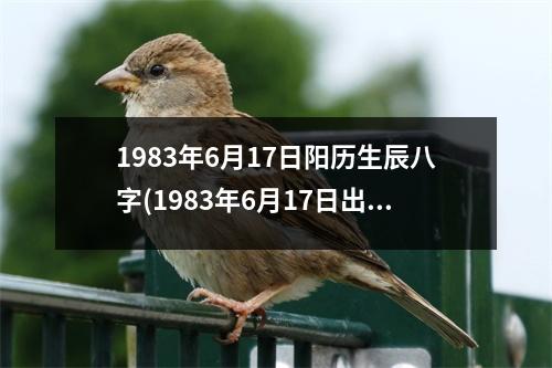 1983年6月17日阳历生辰八字(1983年6月17日出生的八字资料及命运分析)