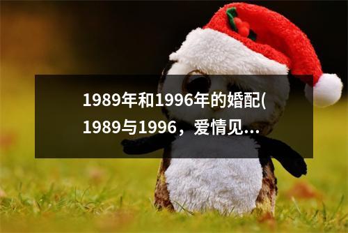 1989年和1996年的婚配(1989与1996，爱情见证岁月沧桑)