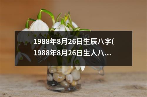 1988年8月26日生辰八字(1988年8月26日生人八字解析)