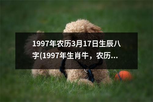 1997年农历3月17日生辰八字(1997年生肖牛，农历三月十七日达到了一个世纪以来的高峰。)