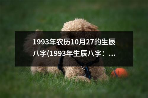 1993年农历10月27的生辰八字(1993年生辰八字：乙酉年、十月、廿七、丑时)