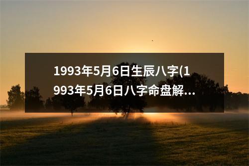 1993年5月6日生辰八字(1993年5月6日八字命盘解析)