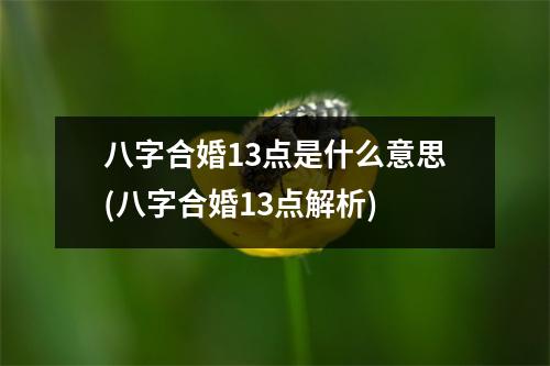 八字合婚13点是什么意思(八字合婚13点解析)