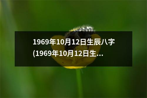 1969年10月12日生辰八字(1969年10月12日生辰八字)