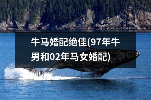 牛马婚配绝佳(97年牛男和02年马女婚配)