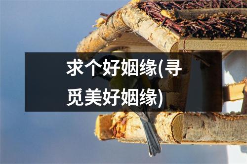 求个好姻缘(寻觅美好姻缘)