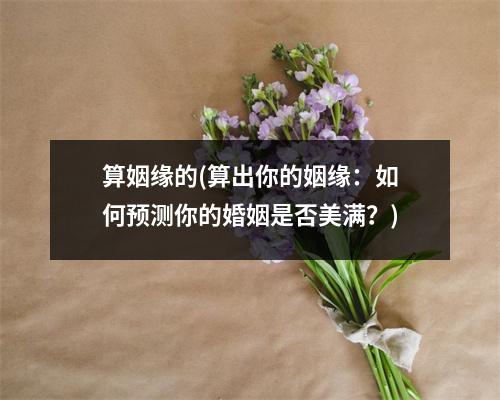 算姻缘的(算出你的姻缘：如何预测你的婚姻是否美满？)