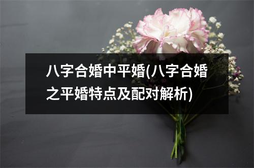 八字合婚中平婚(八字合婚之平婚特点及配对解析)