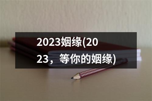 2023姻缘(2023，等你的姻缘)