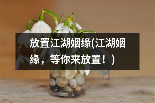 放置江湖姻缘(江湖姻缘，等你来放置！)