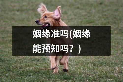 姻缘准吗(姻缘能预知吗？)