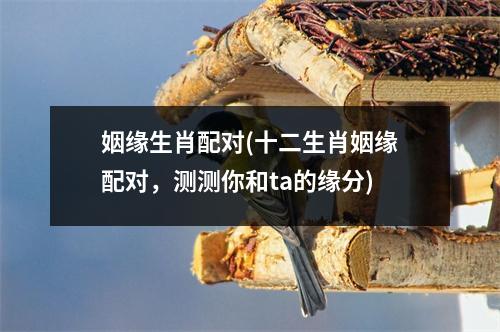 姻缘生肖配对(十二生肖姻缘配对，测测你和ta的缘分)