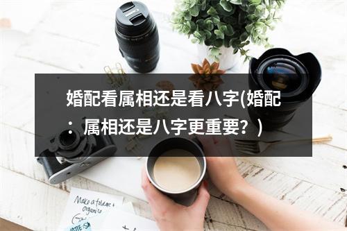 婚配看属相还是看八字(婚配：属相还是八字更重要？)