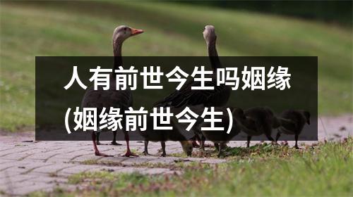 人有前世今生吗姻缘(姻缘前世今生)