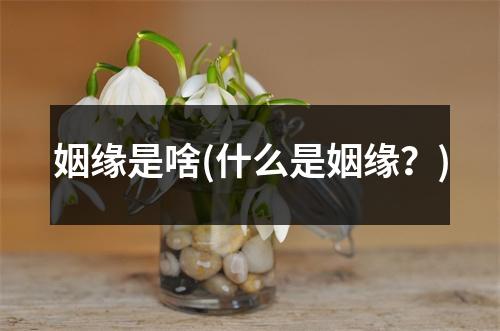 姻缘是啥(什么是姻缘？)