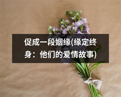 促成一段姻缘(缘定终身：他们的爱情故事)