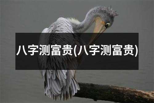 八字测富贵(八字测富贵)