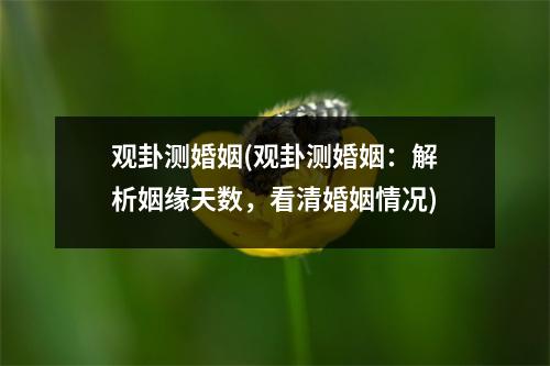 观卦测婚姻(观卦测婚姻：解析姻缘天数，看清婚姻情况)