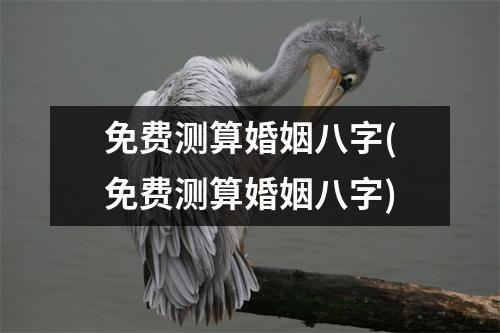 免费测算婚姻八字(免费测算婚姻八字)