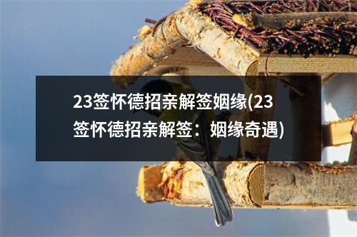 23签怀德招亲解签姻缘(23签怀德招亲解签：姻缘奇遇)