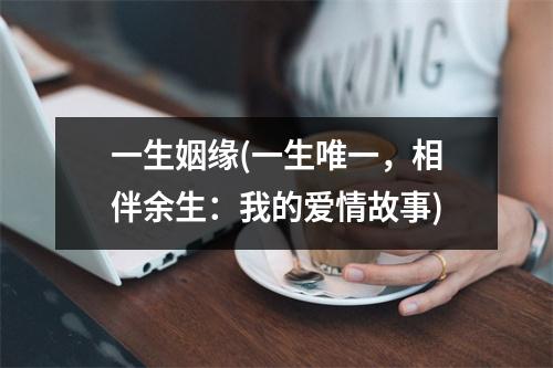 一生姻缘(一生唯一，相伴余生：我的爱情故事)