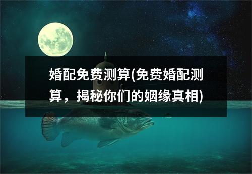 婚配免费测算(免费婚配测算，揭秘你们的姻缘真相)