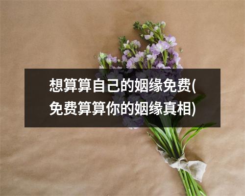 想算算自己的姻缘免费(免费算算你的姻缘真相)