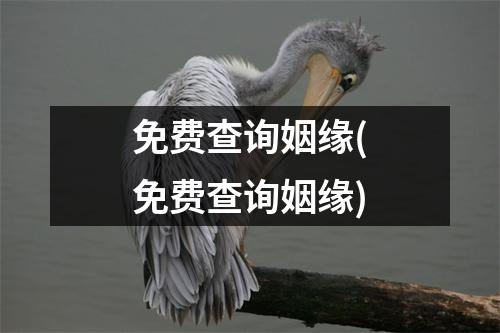 免费查询姻缘(免费查询姻缘)