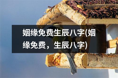 姻缘免费生辰八字(姻缘免费，生辰八字)