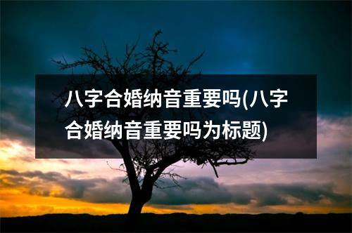 八字合婚纳音重要吗(八字合婚纳音重要吗为标题)