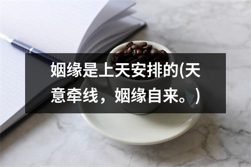 姻缘是上天安排的(天意牵线，姻缘自来。)