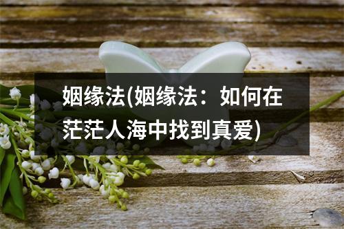 姻缘法(姻缘法：如何在茫茫人海中找到真爱)