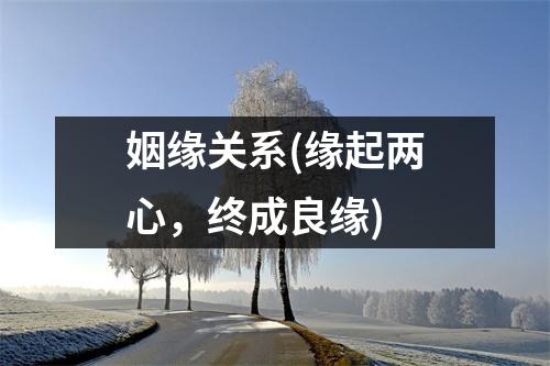 姻缘关系(缘起两心，终成良缘)