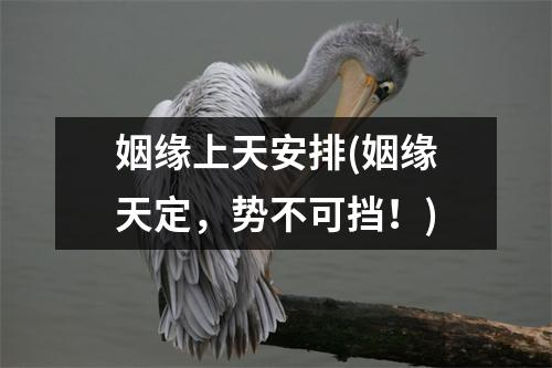 姻缘上天安排(姻缘天定，势不可挡！)