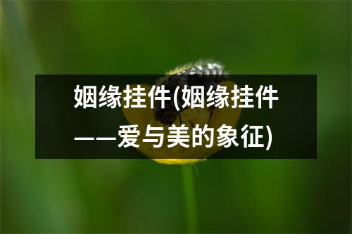 姻缘挂件(姻缘挂件——爱与美的象征)