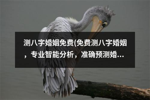 测八字婚姻免费(免费测八字婚姻，专业智能分析，准确预测婚姻如何？)