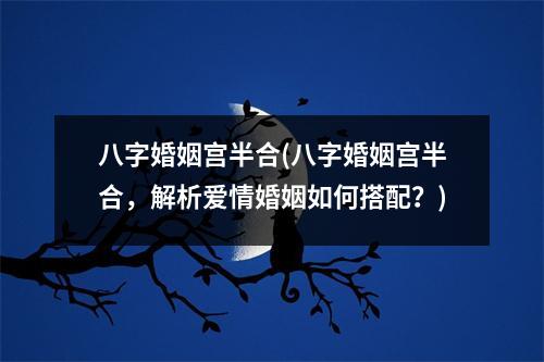 八字婚姻宫半合(八字婚姻宫半合，解析爱情婚姻如何搭配？)