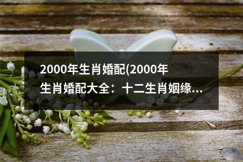 2000年生肖婚配(2000年生肖婚配大全：十二生肖姻缘配对详解)