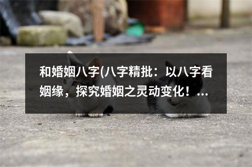 和婚姻八字(八字精批：以八字看姻缘，探究婚姻之灵动变化！)