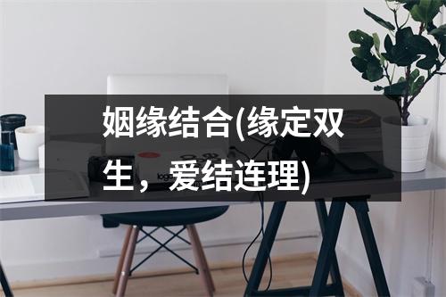 姻缘结合(缘定双生，爱结连理)