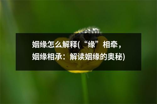 姻缘怎么解释(“缘”相牵，姻缘相承：解读姻缘的奥秘)