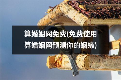 算婚姻网免费(免费使用算婚姻网预测你的姻缘)