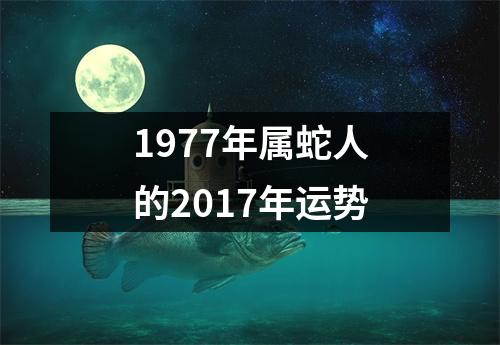 1977年属蛇人的2017年运势