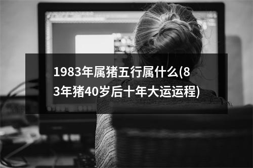 1983年属猪五行属什么(83年猪40岁后十年大运运程)