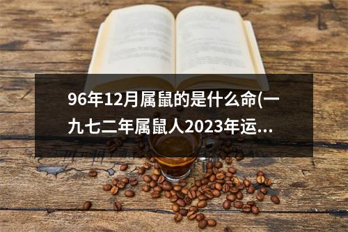 96年12月属鼠的是什么命(一九七二年属鼠人2023年运程如何)